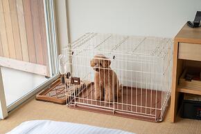 KAMOME SLOW HOTEL THE COMPACT