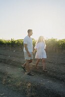 Vino Resort Son Amaret