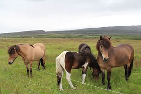 Stóri-Bakki Guesthouse with hot tub