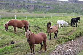 Stóri-Bakki Guesthouse with hot tub