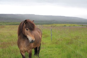 Stóri-Bakki Guesthouse with hot tub