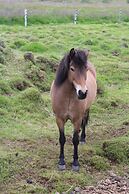 Stóri-Bakki Guesthouse with hot tub