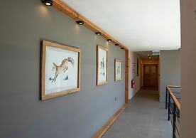 Gluck Patagonia Aparts