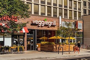 Newly Decorated 1BR 1BA Apt in Lake View