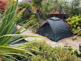 Tropical Garden Oasis