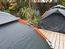 Tropical Garden Oasis