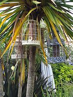 Tropical Garden Oasis