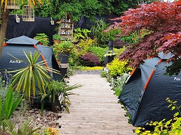 Tropical Garden Oasis