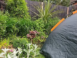 Tropical Garden Oasis