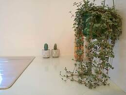 Charming Euston Apartments