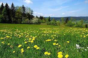 Pension Wiesengrund