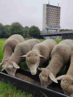 Højhuset Kulturhotel