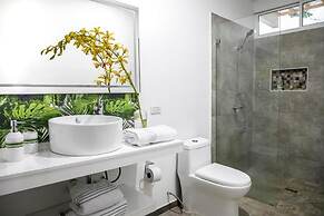 50N15 B&B
