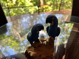 Great House in top Condo and Divine Nature