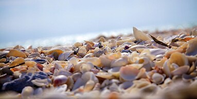 Barefoot Hideaway, With Spa And Pool 3 Bedroom Home by RedAwning