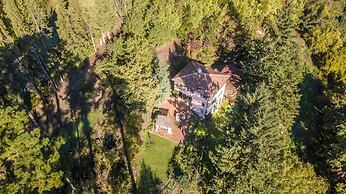 Villa Birdsong in Camaiore