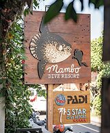 Mambo Beach Resort