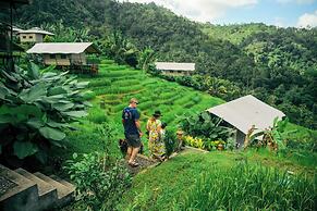 Kaura Bali