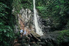 Kaura Bali
