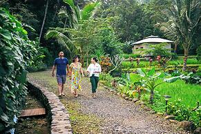 Kaura Bali