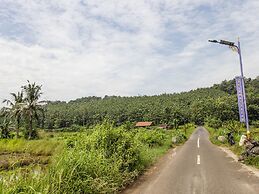 OYO Homes 91155 Desa Wisata Selamanik Ciamis