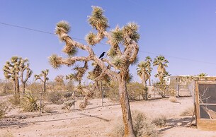 Pickle Ranch - Desert Paradise With Hot Tub, Fire Pit & Bbq 2 Bedroom 