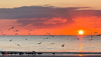 Lighthouse 1124 3 Bedroom Home by RedAwning