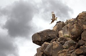 Rocky Ridge Retreat - Hot Tub, Fire Pit & Bbq! 2 Bedroom Home by RedAw