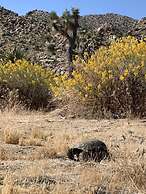 Rocky Ridge Retreat - Hot Tub, Fire Pit & Bbq! 2 Bedroom Home by RedAw