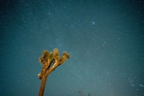 Easy Rider Ranch - Hot Tub, Fire Pit & Hammocks Under The Stars! 3 Bed