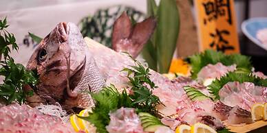 Yukyou no hibiki YUSAI