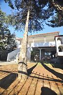 Zennova 40 Trikorfo Cottage