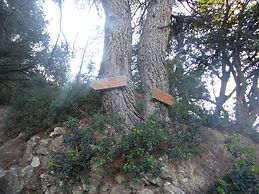 Roma 32 - Tempovacanza