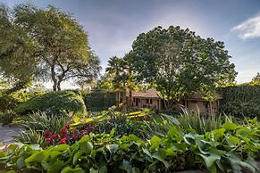 Casa Las Palmas, San Miguel de Allende