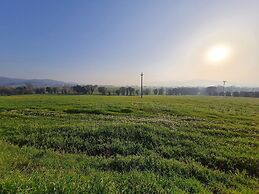 Agriturismo Buonavista