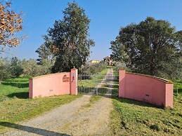 Agriturismo Buonavista