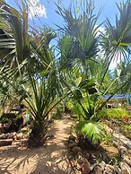 Café Hostal Valladolid