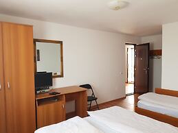 Delta crisan flamingo