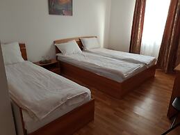 Delta crisan flamingo