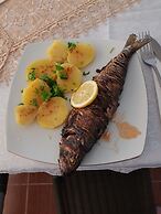 Delta crisan flamingo