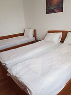 Delta crisan flamingo