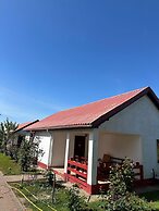 Delta crisan flamingo