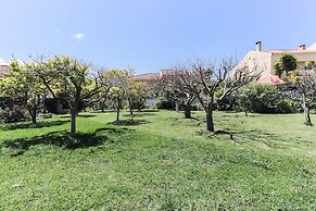 Guincho Typical House I by Homing