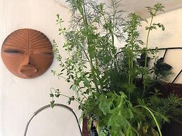 Cosy Cottage Near Hartland Village