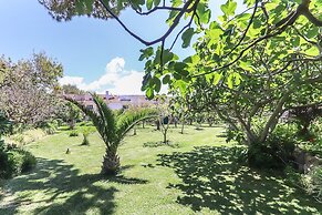 Guincho Typical House II by Homing