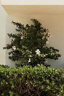 Absolute Kiotari Resort