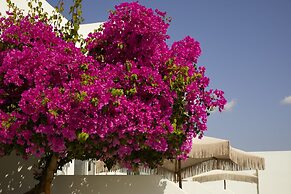 Absolute Kiotari Resort