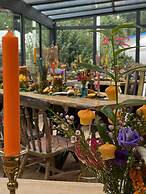 feels Beach Club Hotel