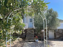 'paraside' Seaside Villa in Delfini Says Netflix