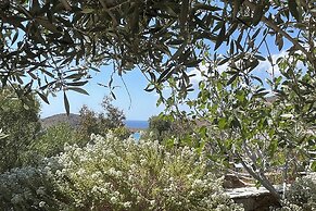 'paraside' Seaside Villa in Delfini Says Netflix